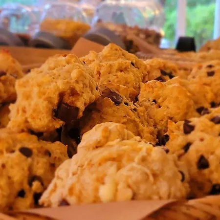 Tennis International Агд