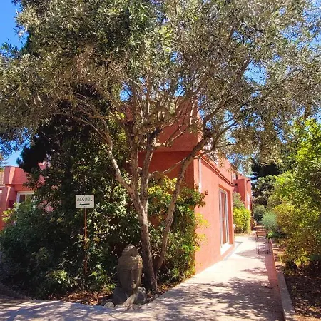 Tennis International