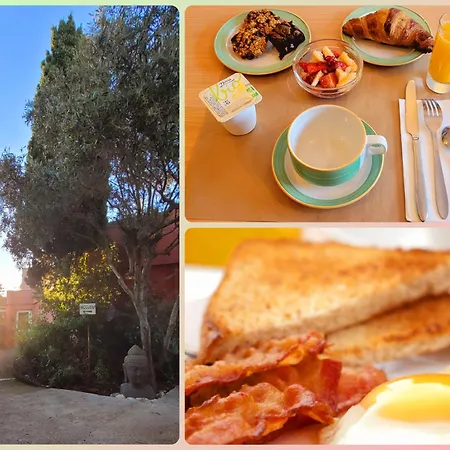 Tennis International Hotell 3*